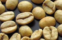 巴西咖啡豆只有山多士能上台面？布邦山多士和平豆山多士差在哪