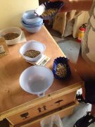 咖啡豆名称与牌号怎么看？各国分级标准与蓝山、摩加等产地命名一次讲清
