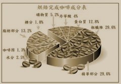 咖啡为什么苦又香？一文读懂咖啡豆成分与风味来源
