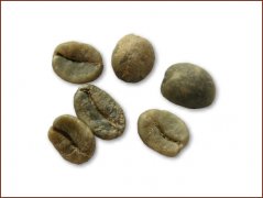 精品豆推荐 哥斯达黎加咖啡豆图片(Costa Rica coffee)