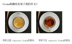 Espresso的Crema是什么？颜色深浅、虎斑纹和持久度能说明什么？
