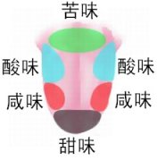 咖啡品鉴相关：真有“味觉地图”吗?