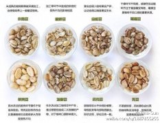 健康喝咖啡的标准是什么？为什么应远离速溶咖啡和三合一？