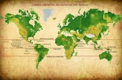 世界咖啡起源发展历史传说简述 咖啡果实在埃塞俄比亚发现的时间?