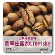 全球10大最顶精品咖啡豆,能HOLD得住?