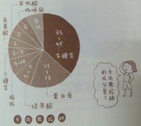生咖啡豆是由哪些成分构成的呢?