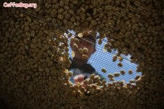猫屎咖啡豆为什么这么贵？麝香猫咖啡处理过程与价格全解析