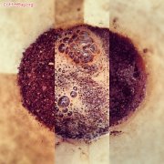咖啡豆里到底有什么？生豆与熟豆成分对比一次说清