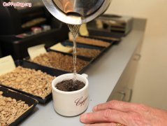 咖啡豆拼配基础参考数据分享 咖啡豆生拼还是熟拼