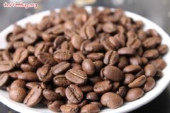 咖啡豆放多久会走味？烘焙度、包装与保存方式的赏味期差异一次说清