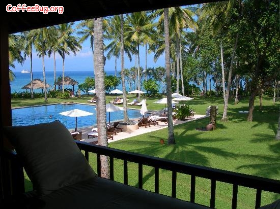 巴厘岛 Alila Manggis——返璞归真
地址:Buitan, Manggis Karangasem 80871, Bali, Indonesia
巴厘岛东边小镇Manggis,与主城库塔(Kuta)及南部旅游重镇努沙度瓦 (Nusa Dua)都没有繁华的购物街,四周所见都是零星小村屋、稻田及树林,沿岸只有数艘渔船出没。
现在还未完全被开发的东区享受着优厚眷顾,缓慢地进行着“不破坏本土环境”的主题旅游事业。驻扎此区的设计旅馆Alila Manggis会给你带来一系列的“体验之旅”。 其中一个远足行程是登上东部山顶,潜入梯田间的一座以竹搭建的小凉亭,品尝爪哇豆磨成的黑咖啡,沾口地道椰子糕点充当幼糖,眺望巴厘岛东岸颜色从梯田茂密丛生的嫩绿渐变成一望无际的澄蓝。回到原始,有股说不出的舒泰油然而生。