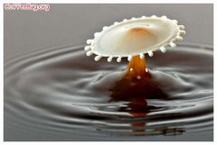 意大利浓缩咖啡为什么浓郁丰厚？全球十大极品咖啡豆与意式拼配全解析