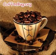 手冲咖啡粉水比怎么算？Coffee Measures 计量软件使用指南