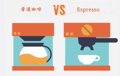 Espresso 和现煮咖啡有什么区别？从油脂、风味到咖啡因一次讲清