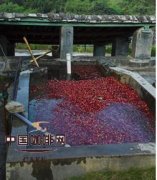 湿处理法是什么？为什么高质量咖啡豆都用水洗处理？