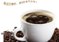 研磨粗细决定萃取时间？手冲、意式、法压壶的黄金搭配与好咖啡标准
