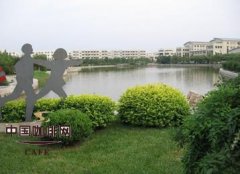 茶叶是理性男人，咖啡是感性女人？一文看懂茶与咖啡的性格差异