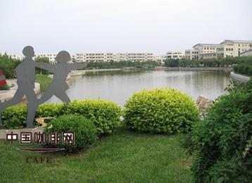 茶叶是理性男人,咖啡是感性女人