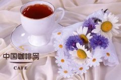 喝咖啡能减肥吗？热咖啡、浅烘焙与运动时机的真相