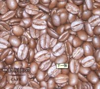 鼓室烘焙和热空气烘焙有什么区别？咖啡豆烘焙度怎么选