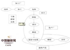 咖啡豆处理法怎么选？干燥法（天然法/非水洗）与水洗法有什么区别？