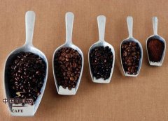 咖啡豆出油是新鲜还是变质？浅焙与深焙咖啡豆新鲜度判断方法