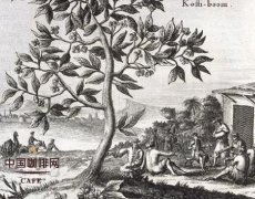 最早的咖啡饮品是什么？从苏丹咖啡到意式浓缩的烘焙演变史