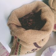 危地马拉咖啡为什么被称为世界最美味咖啡之一？安提瓜与科班产区风味区别在哪