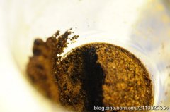 虹吸式萃取咖啡时 小山丘越高越好?
