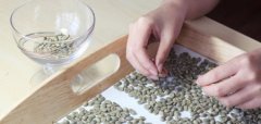 精品咖啡和商业咖啡到底差在哪？一文看懂精品豆特点与口感区别