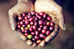 咖啡怎么煮才好喝？手冲、滤泡、虹吸的研磨度与水温全解析