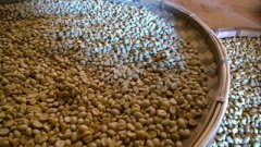 刚刚采摘的咖啡豆怎么烘焙? 咖啡豆烘焙心得 咖啡豆烘焙方法 咖