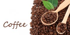 哥斯达黎加咖啡为什么被称世界级精品？塔拉珠产区风味与七大产区一次看懂