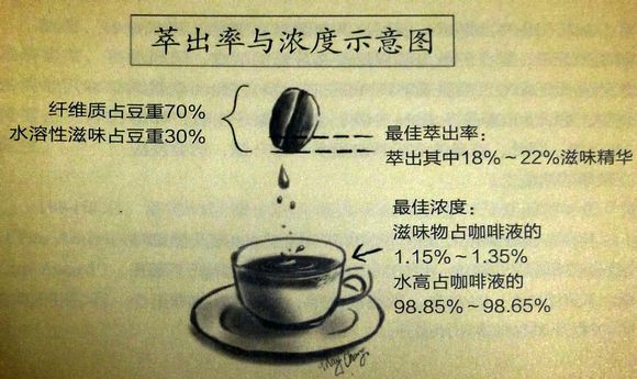 哥伦比亚咖啡为什么被称为翡翠咖啡？卡杜拉与铁毕卡品种风味全解析