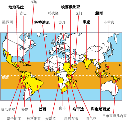 夏威夷科纳咖啡豆凭什么被称为世界上最美的咖啡豆？做法与风味全解析