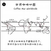 印度`尼西亚苏门答腊曼特宁G1 | Indonesia Sumatra Mandheling G