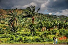 尼加拉瓜SHG咖啡是什么等级？马塔加尔帕产区风味真的比哥伦比亚好吗？