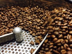 咖啡豆烘焙过程解析：罗布斯达豆与阿拉比卡豆的炒豆原理有何不同？