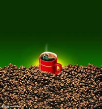 尼加拉瓜咖啡洛斯刚果庄园风味如何？口味温和的产区口感全解析