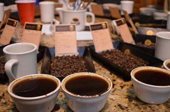 波多黎各咖啡好喝吗？尧科特选与牙买加蓝山、夏威夷柯娜有什么区别？