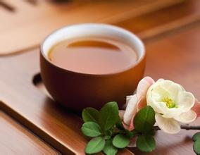 哥斯达黎加塔拉珠咖啡豆好喝吗？风味、研磨度与产区特点一次讲清