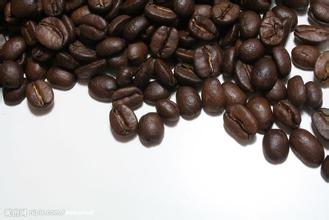 哥斯达黎加咖啡风味怎么样？塔拉苏产区品种处理法与口感全解析