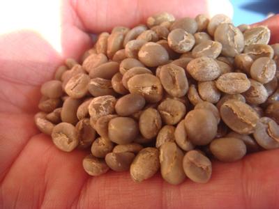哥伦比亚圣瑞塔庄园咖啡豆种植环境如何？安第斯山区风土与处理法全解析