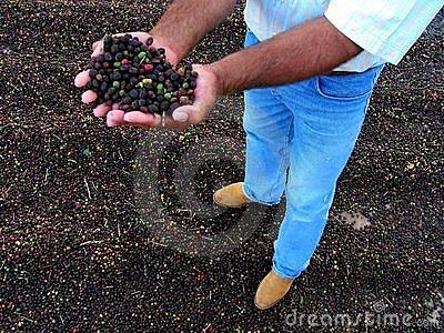 咖啡磨豆机怎么调刻度？粗细度与冲煮方式对照指南