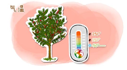 巴拿马花蝴蝶咖啡豆怎么冲？手冲比例与步骤图解一次讲清
