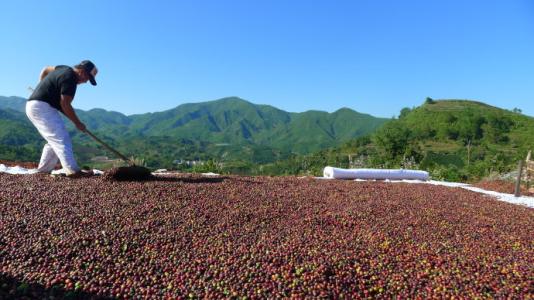 哥伦比亚咖啡豆风味口感如何？产区品种处理法与研磨刻度全解析