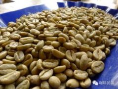 苏门答腊林东豆阿榭之金好喝吗？和曼特宁有什么区别？