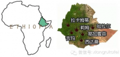 埃塞俄比亚咖啡为什么被称为咖啡故乡？耶加雪菲等产区风味与种植方式全解析
