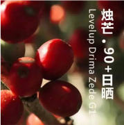 烛芒咖啡是什么豆？和耶加雪菲、西达摩日晒有什么区别？