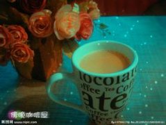 西达摩咖啡豆是什么风味？和耶加雪菲有什么区别？产地品种与处理法详解